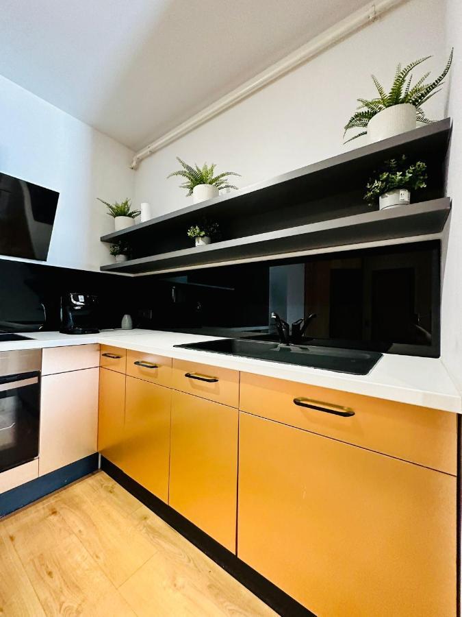 קלוז'-נאפוקה Kharisma Apartment-Free Parking-Ultracentral מראה חיצוני תמונה